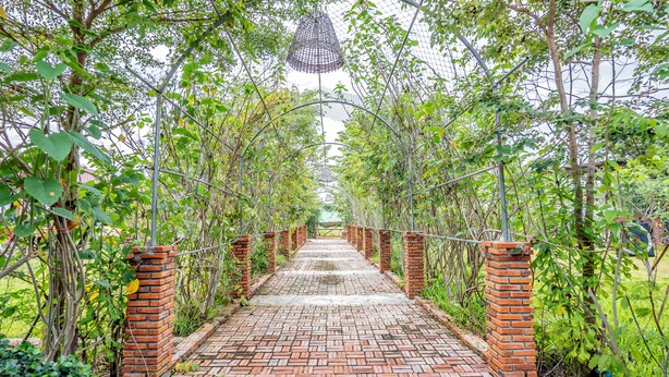 Un camino de ladrillo que atraviesa un jardín con un arco de metal.