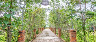 蝙蝠稻田度假村 