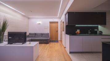 Deluxe Condo | Living area | TV