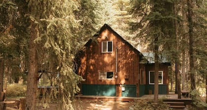 Classic McCall Cabin w/ Hot Tub
