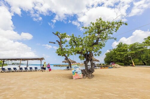 Overview apartment steps from mahogany beach and 5 mins walk into town