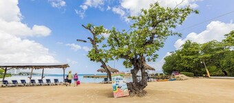 Overview apartment steps from mahogany beach and 5 mins walk into town