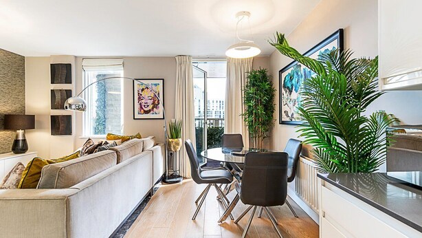 Ein modernes Wohnzimmer mit einer Couch, einem Esstisch, Stühlen und einer großen Küstenpflanze.