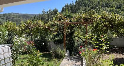Amazing mountain scenery, outdoor kitchen,
Nearby river beaches, fruit trees.