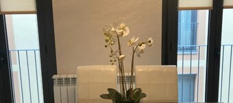 Appartement Moderne et Confortable à Jaca Pyrénées Espagne