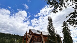 Eine hölzerne Treppe führt zu einer Holzhütte mit Metallbedachung, umgeben von Bäumen und einem Kiesweg.