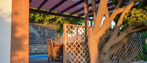 テラス / パティオ