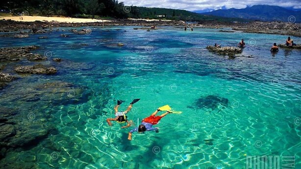 A clear blue water body with rocks and people swimming. - Brand New Studio with Sunset View (Haleiwa)