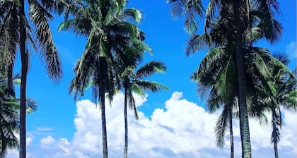 Apartamento LUXURY Vacacional Nayarit