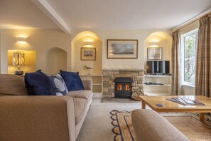 Una televisión, una chimenea, un reproductor de DVD