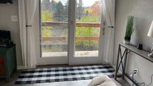 A room with a checkered rug, a green cabinet, a potted plant, and a view through a glass door.