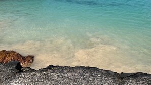 Una playa con agua turquesa cristalina, orilla de arena y un bosque denso al fondo.