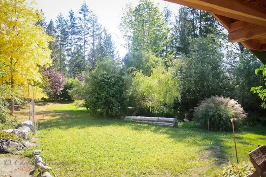 Front yard with pond behind log