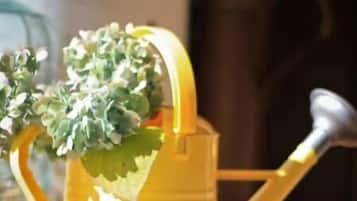 Detall de l'interior