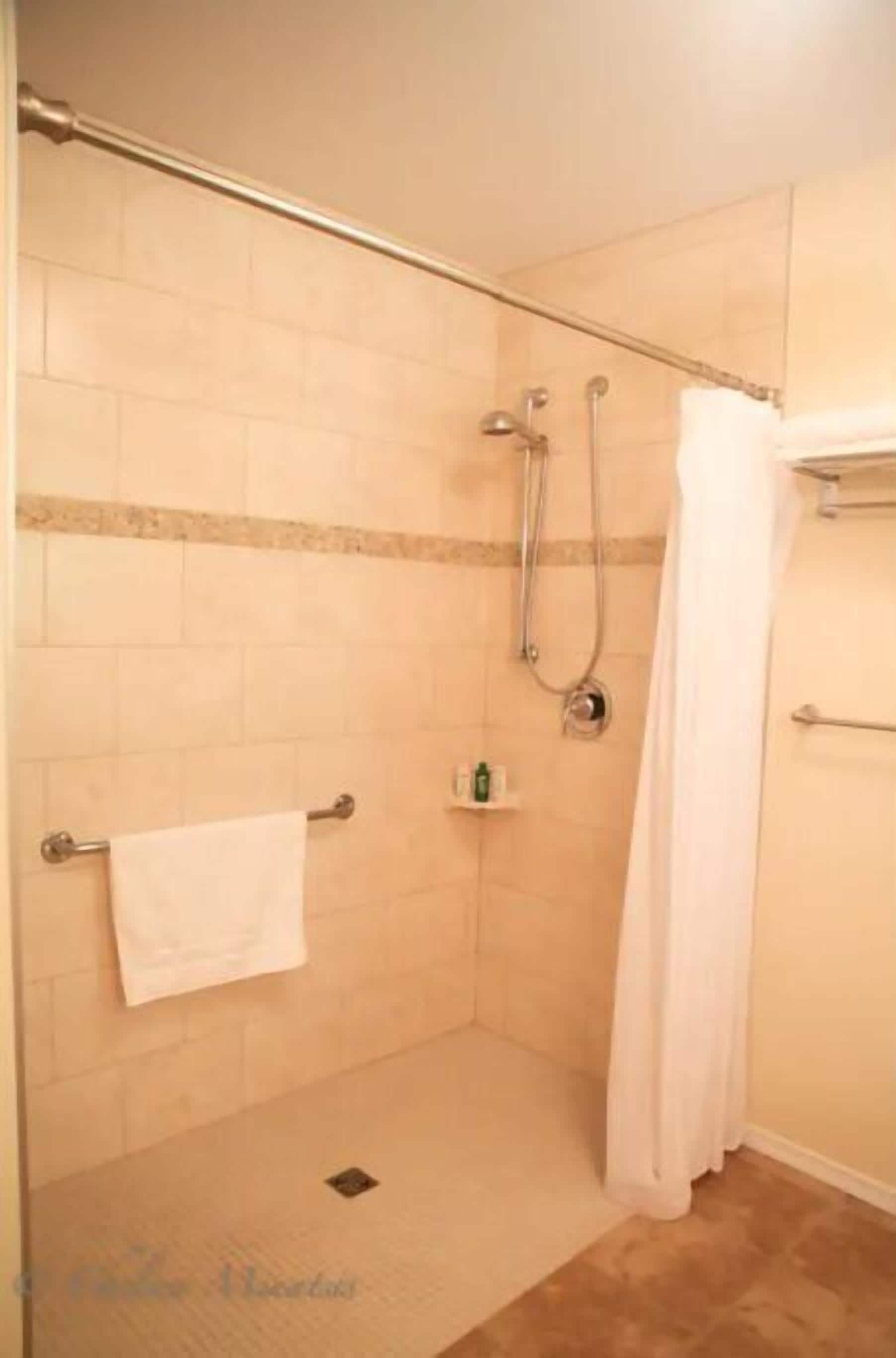 Wheel in shower with grab bars