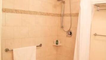Wheel in shower with grab bars
