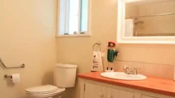 Douche, séchoir à cheveux, serviettes fournies, savon