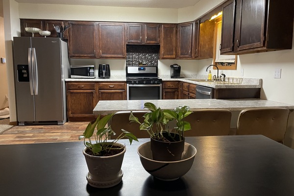 Microones, forn, placa de cuina i rentaplats