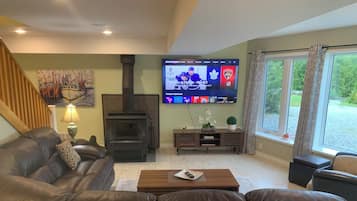 Smart TV, fireplace, DVD player, books