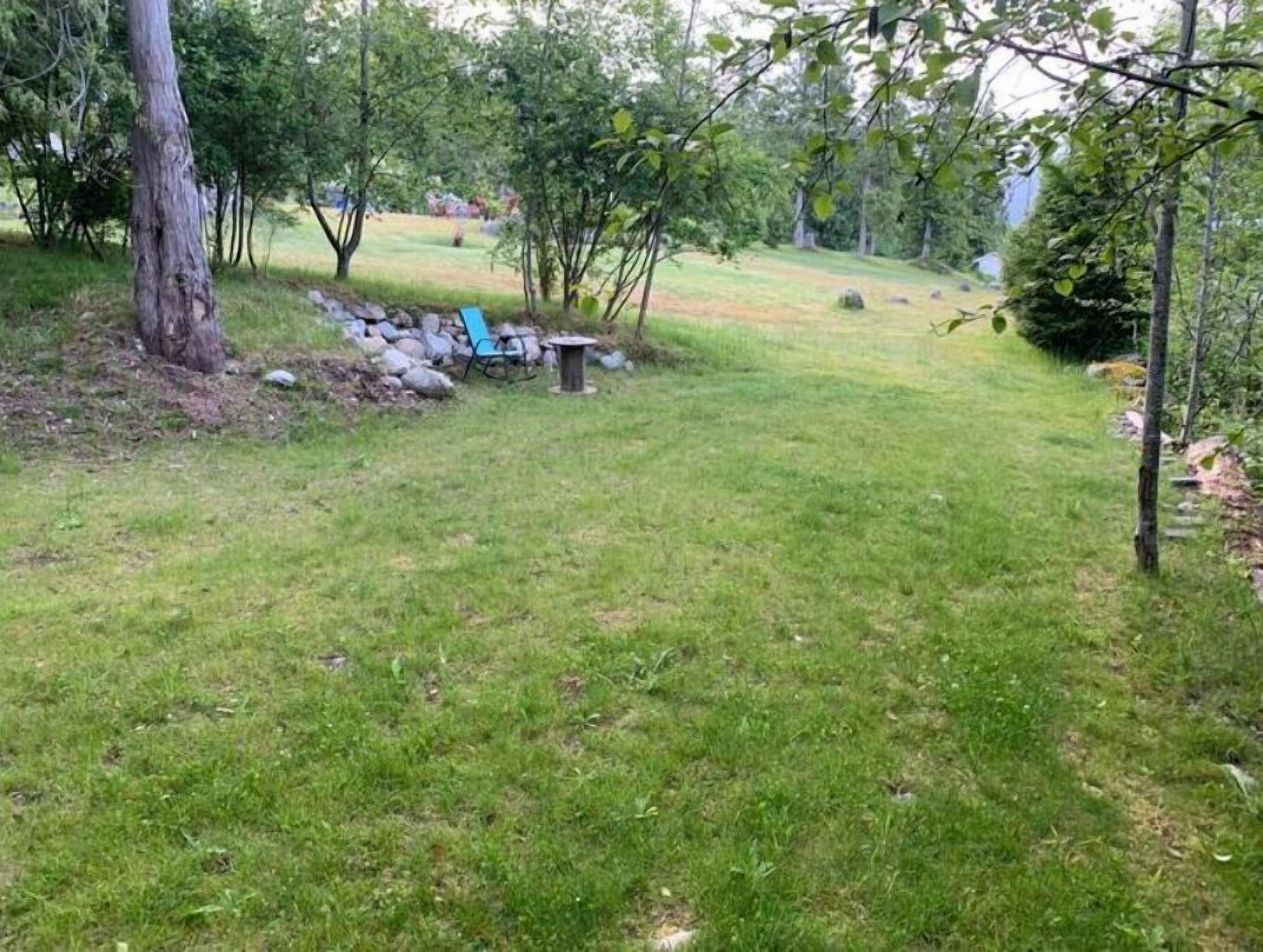 A grassy outdoor area with trees, a stone bench, and a small table.