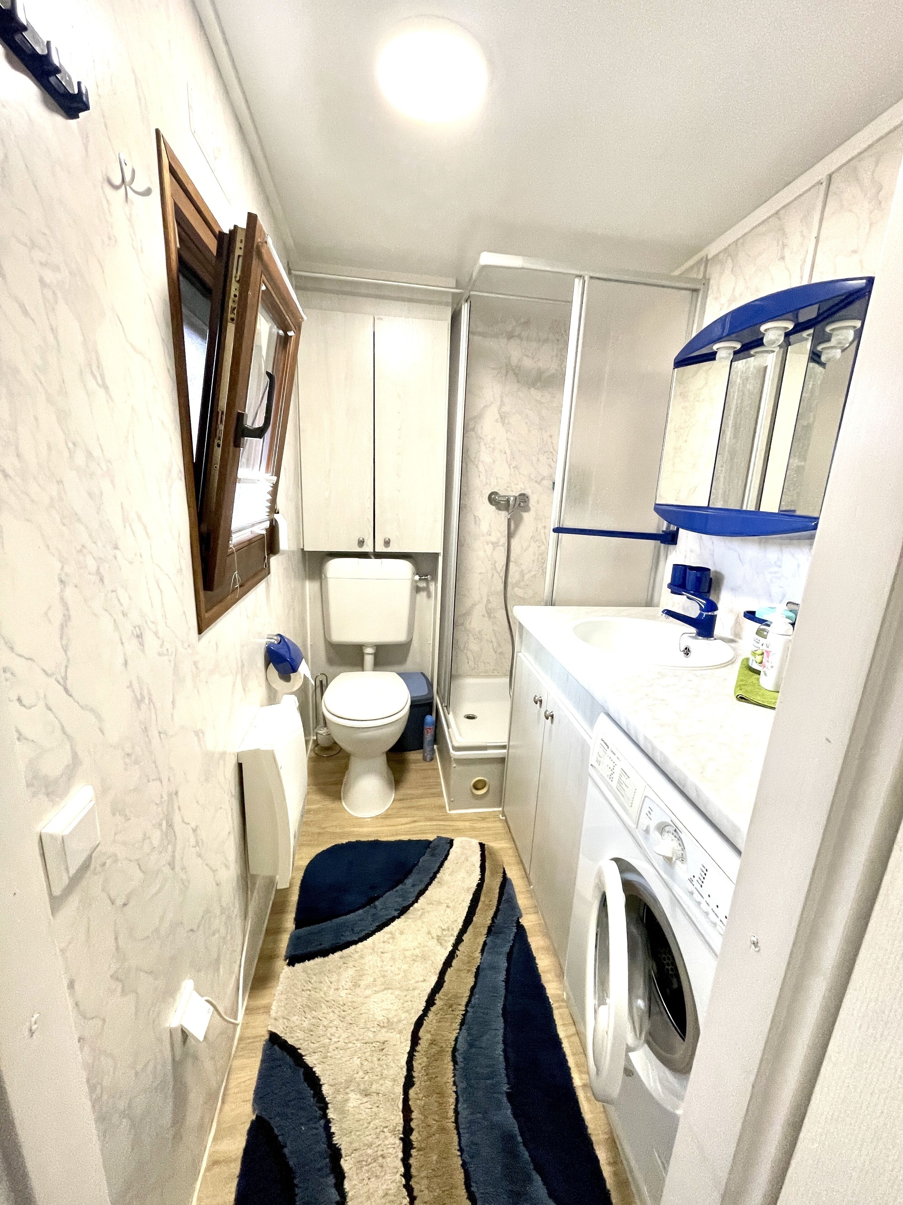 Shower, hair dryer, toilet paper