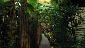 A narrow concrete pathway flanked by dense foliage and a brick wall. - Pousada kaçuá Milagres (São Miguel dos Milagres)