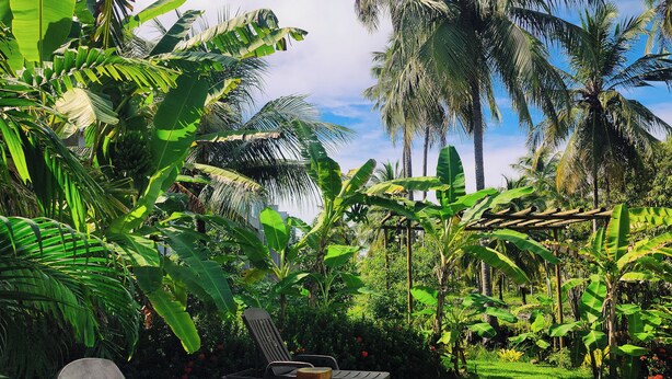 A wooden deck with lounge chairs and a pool, surrounded by lush tropical vegetation and palm trees. - Pousada kaçuá Milagres (São Miguel dos Milagres)