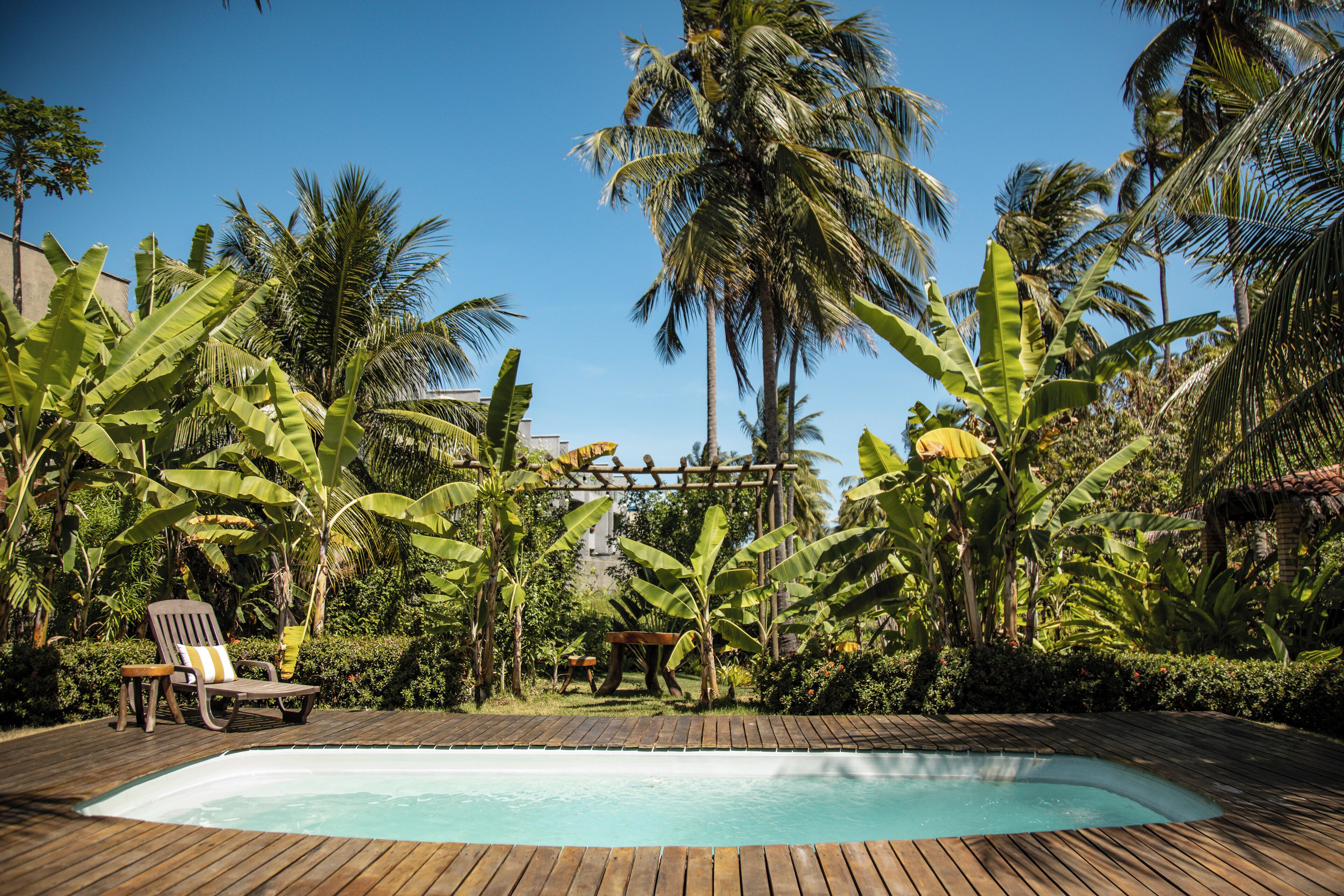 Une terrasse en bois avec une piscine, entourée d’une végétation tropicale luxuriante et de palmiers.