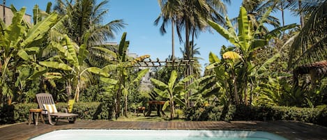Une terrasse en bois avec une piscine, entourée d’une végétation tropicale luxuriante et de palmiers.