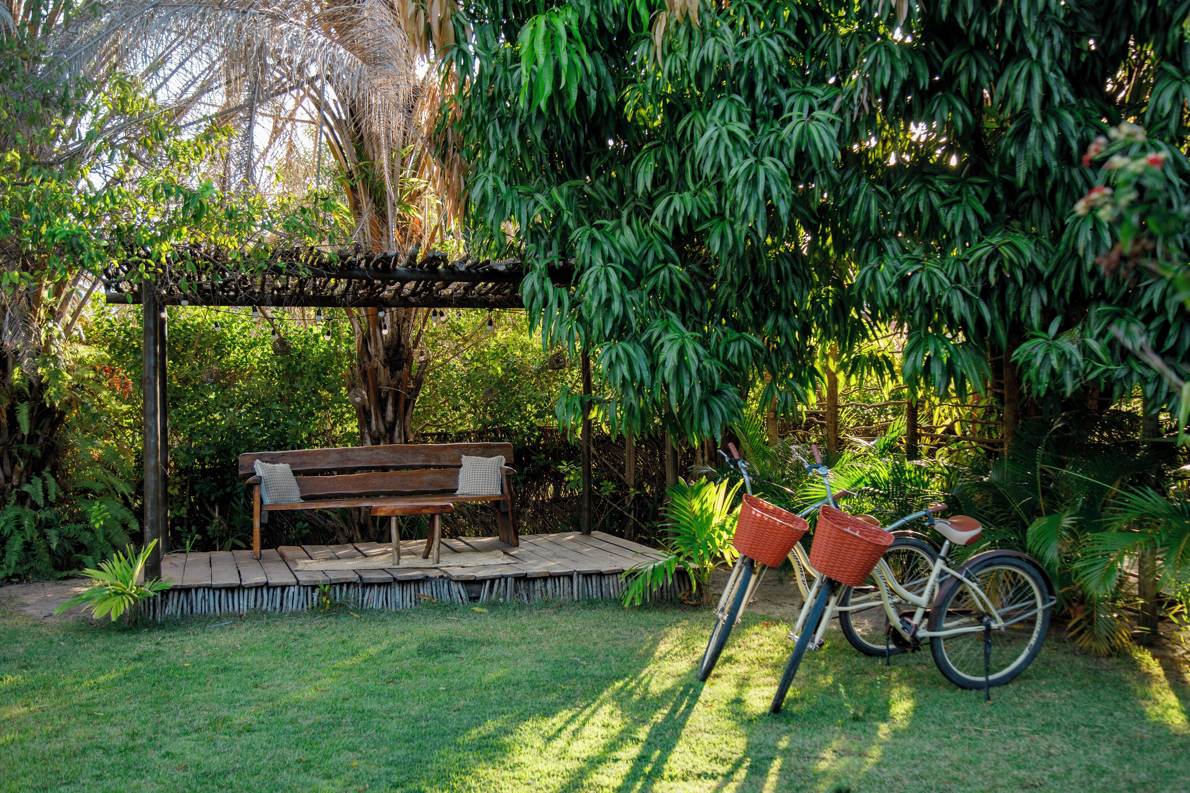 A wooden bench under a pergola in a lush garden with a bicycle and baskets.