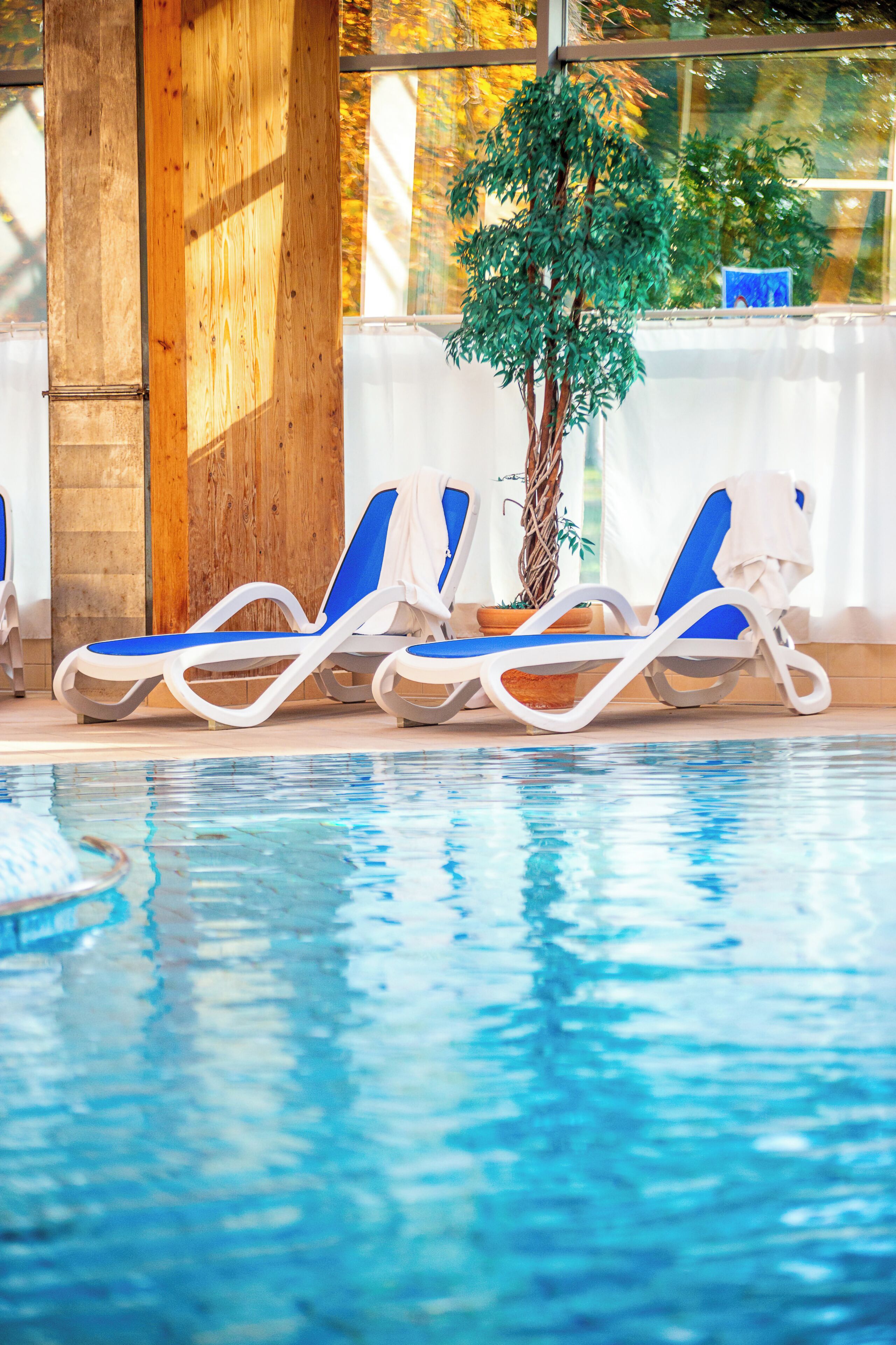 Un área de piscina con sillas de descanso y una planta en maceta.