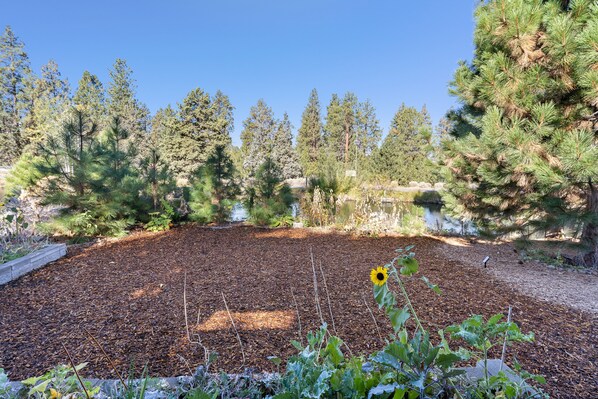 Overnatningsstedets område