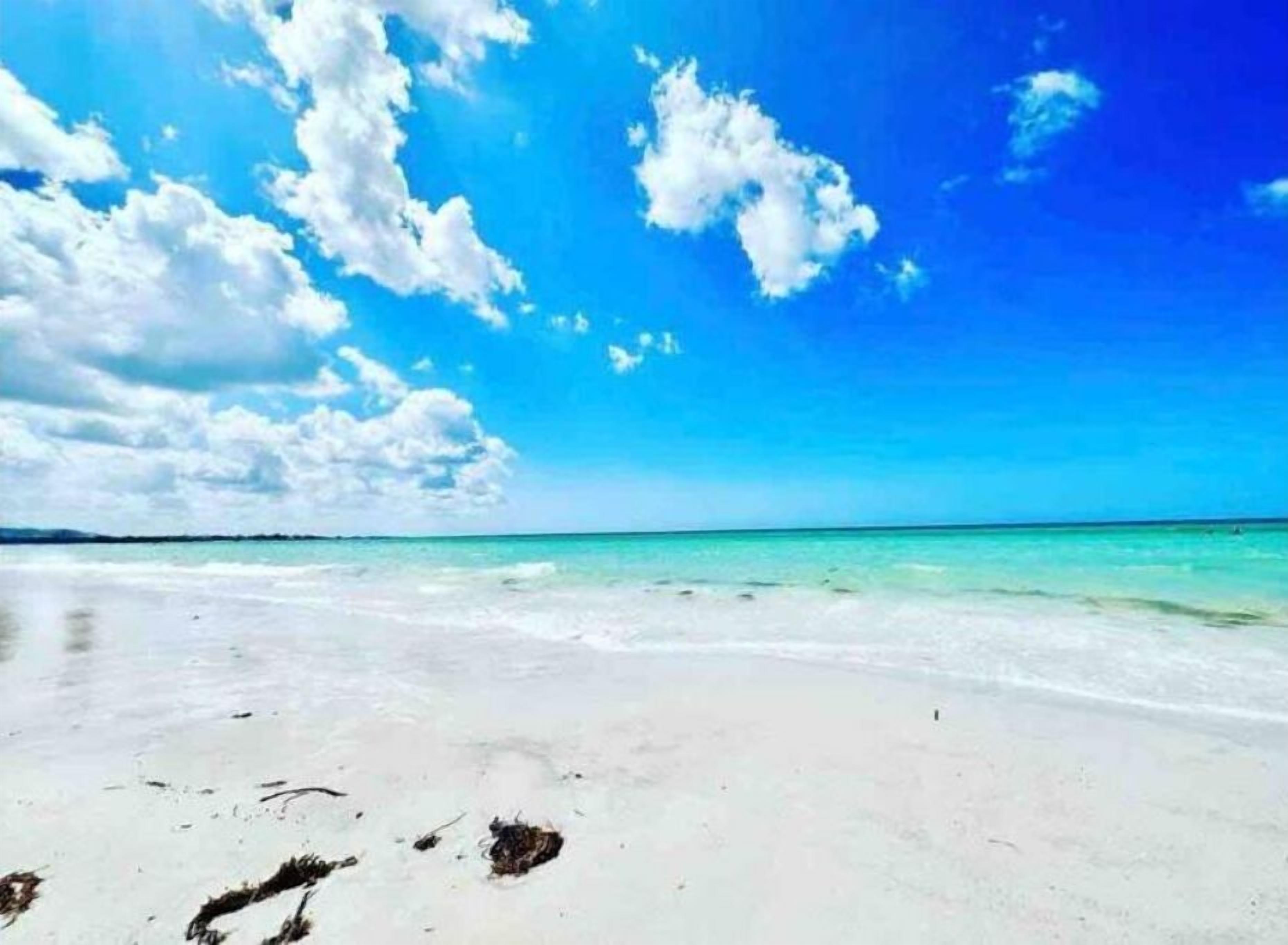 Chaises longues, serviettes de plage