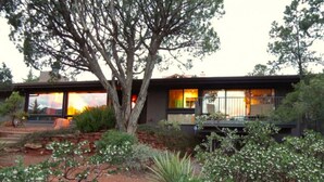 A modern house with a large tree in the front yard, surrounded by various plants and shrubs.