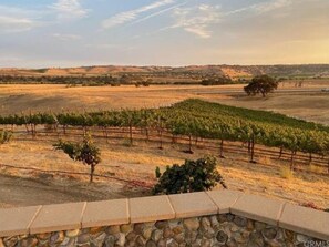 Property grounds - Amazing Retreat in Vineyard Estate (Paso Robles)