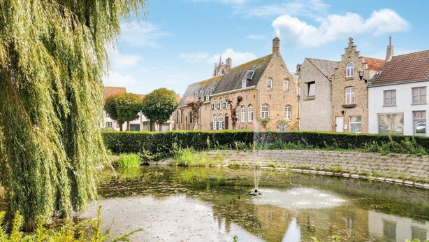 A historic building with a pond, surrounded by greenery and a weeping willow.