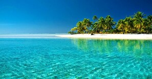 Beach - 20% Off June! -Pool, Grace Bay Ocean Views! Z102 (Grace Bay)