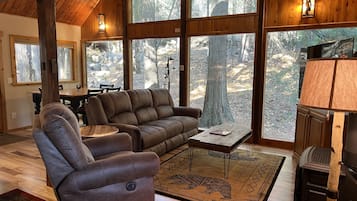 Smart TV, fireplace, books
