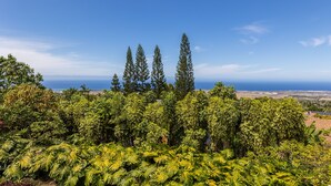 A tropical landscape with dense foliage and a clear view of the ocean.