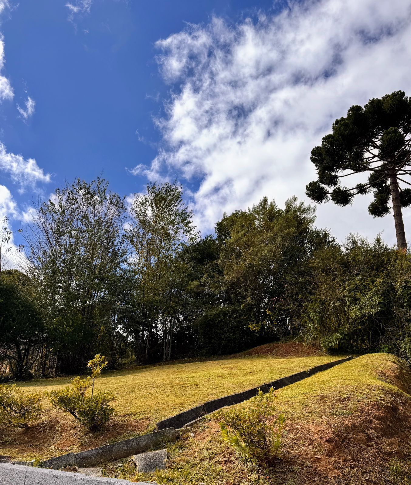 Foto - Pousada Araucária Suítes