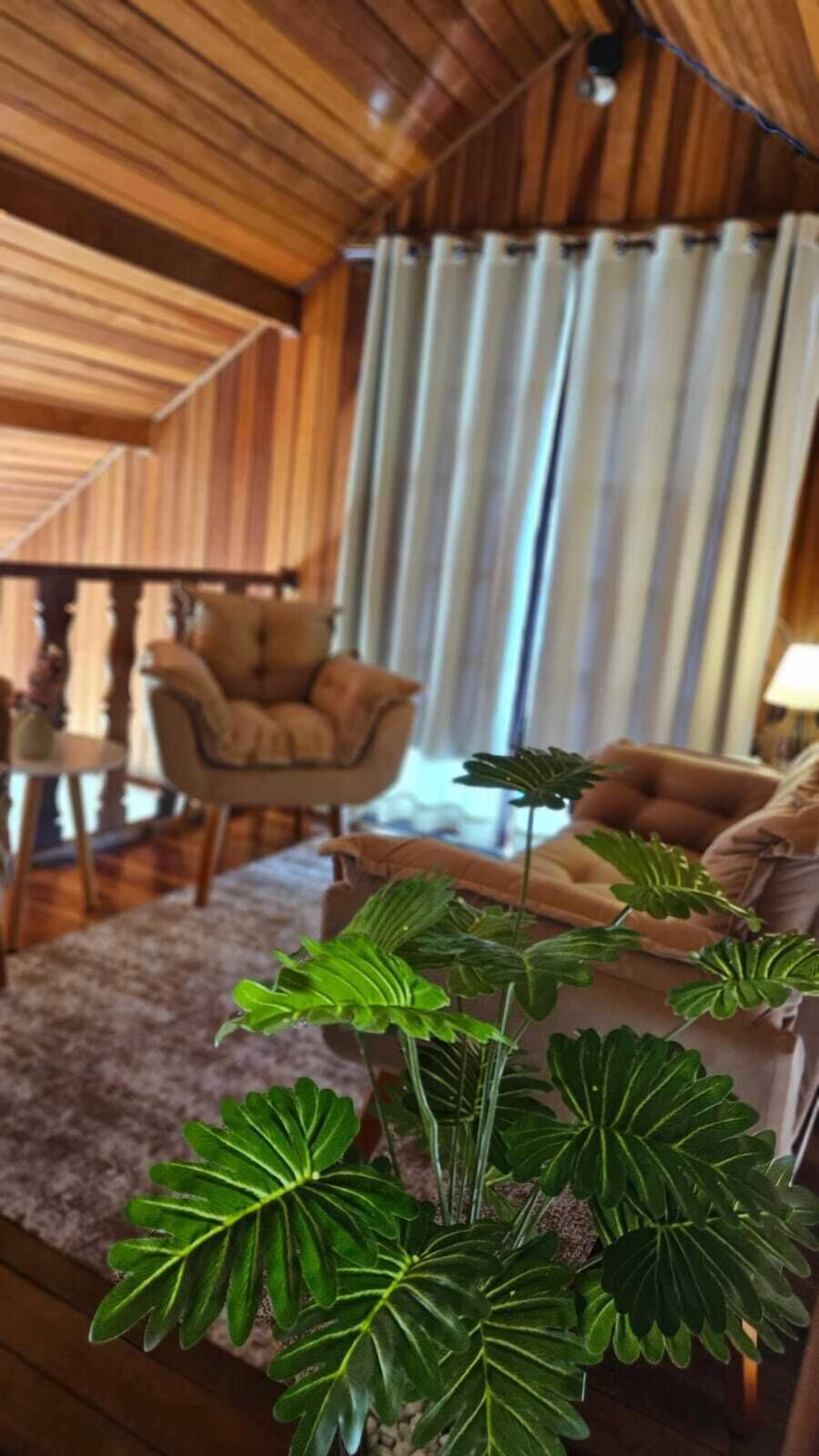 Foto - Pousada Araucária Suítes