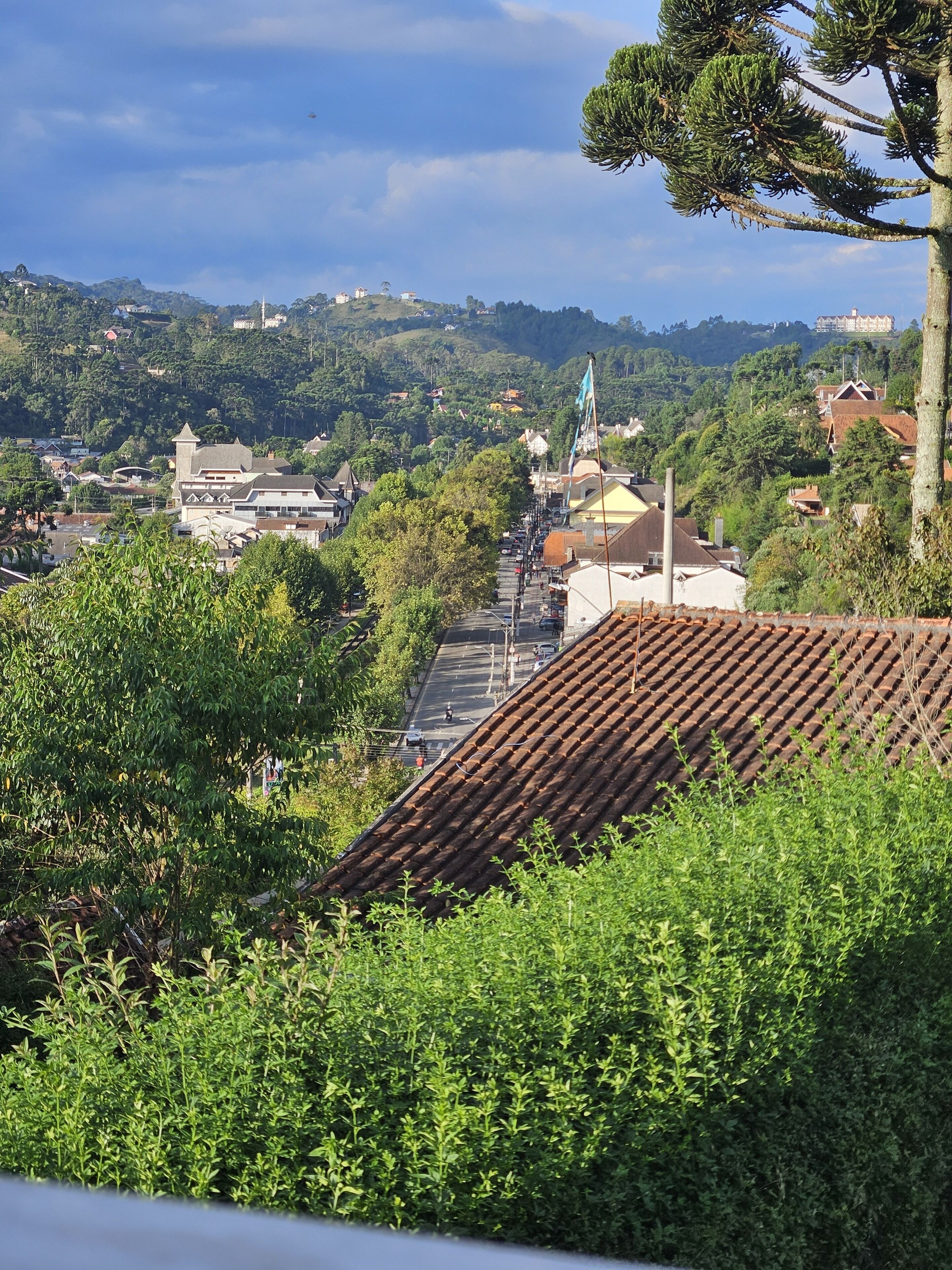 Foto - Pousada Araucária Suítes