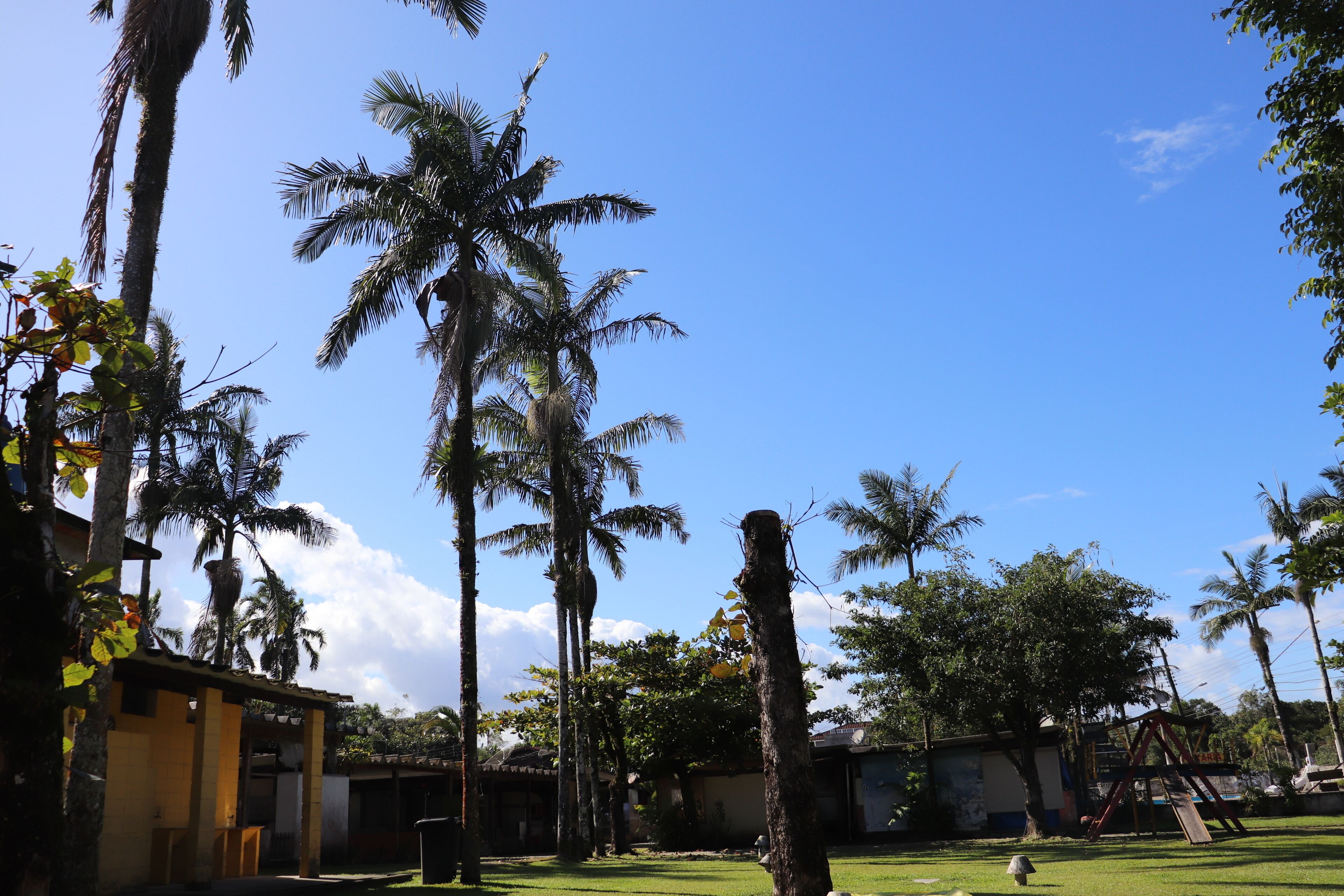 A courtyard with palm trees, a swing set, and a building with a yellow facade.
