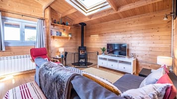 TV, fireplace, DVD player