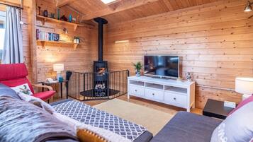 Télévision, cheminée, lecteur de DVD