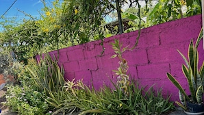 A garden with various plants and a purple wall. - Tamernique Apartments (St. George's)