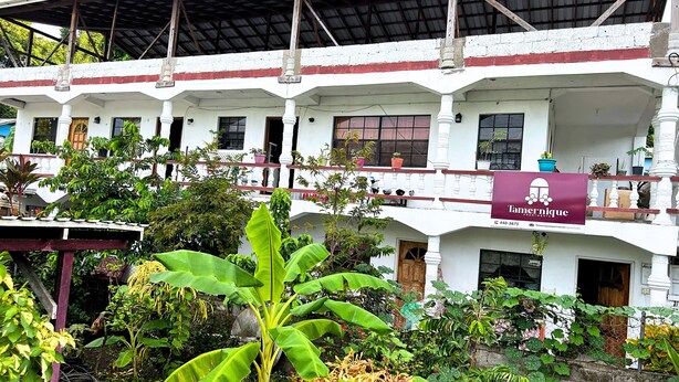 A multi-story building with balconies, potted plants, and a sign for 'Tamernique Apartments'. - Tamernique Apartments (St. George's)