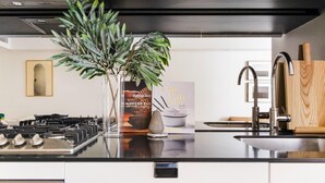 A modern kitchen with a gas stove, stainless steel sink, and a potted plant. - Studio 221 on Bondi Beach (Bondi)