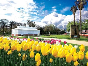 Miscellaneous - Bayne St Studio Summa (Bendigo)