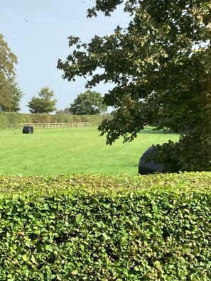 Property grounds - Cottage Sleeps 4 - Pet Friendly w Free Parking (Marlborough)